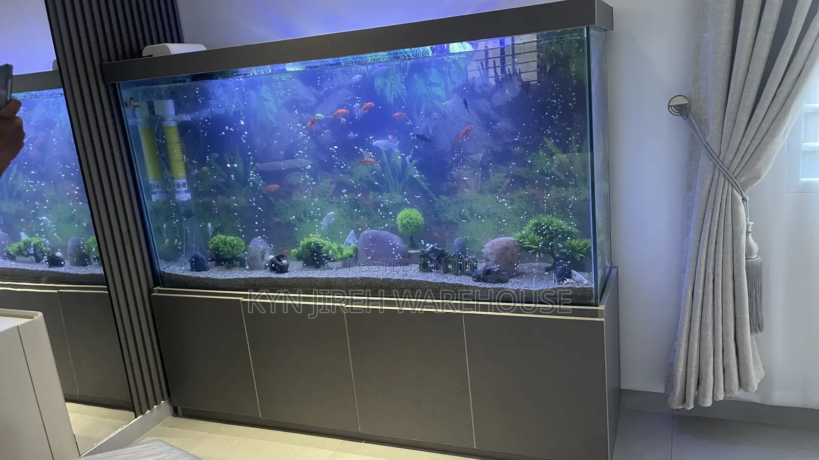 August Aquarium With 30 Fishes