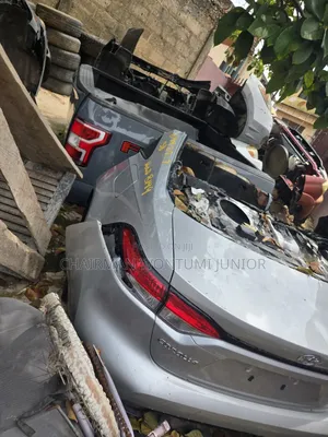 Corolla 2020 Upward Back Cut