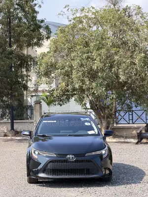 Toyota Corolla LE 2020 Black