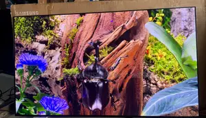 SAMSUNG OLED 65 Inches Smart 65s93F PERFECT GAMING 144 Hz Hdr+ TV
