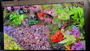 SAMSUNG OLED 65 Inches Smart 65s93F PERFECT GAMING 144 Hz Hdr+ TV