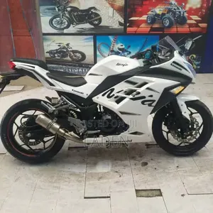 Kawasaki Ninja 300 2023