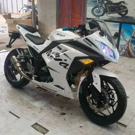 Kawasaki Ninja 300 2023