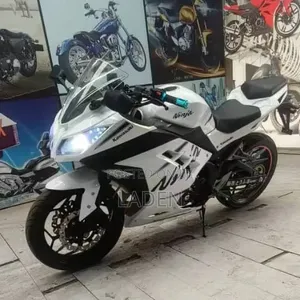 Kawasaki Ninja 300 2023