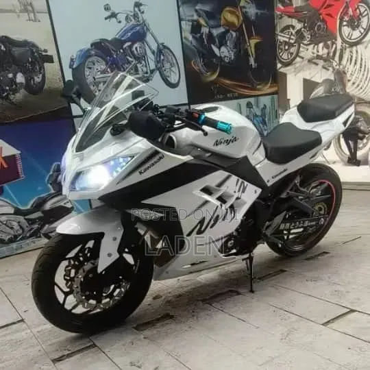 Kawasaki Ninja 300 2023