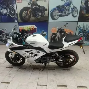 Kawasaki Ninja 300 2023