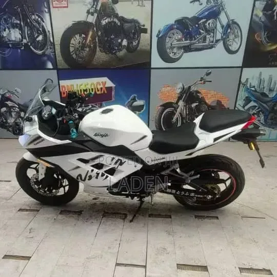 Kawasaki Ninja 300 2023