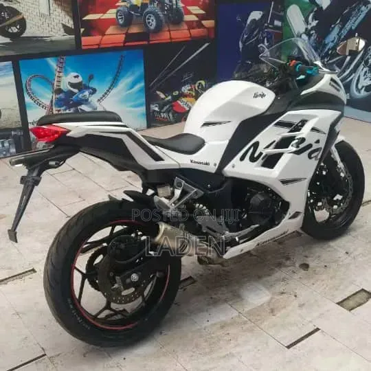 Kawasaki Ninja 300 2023
