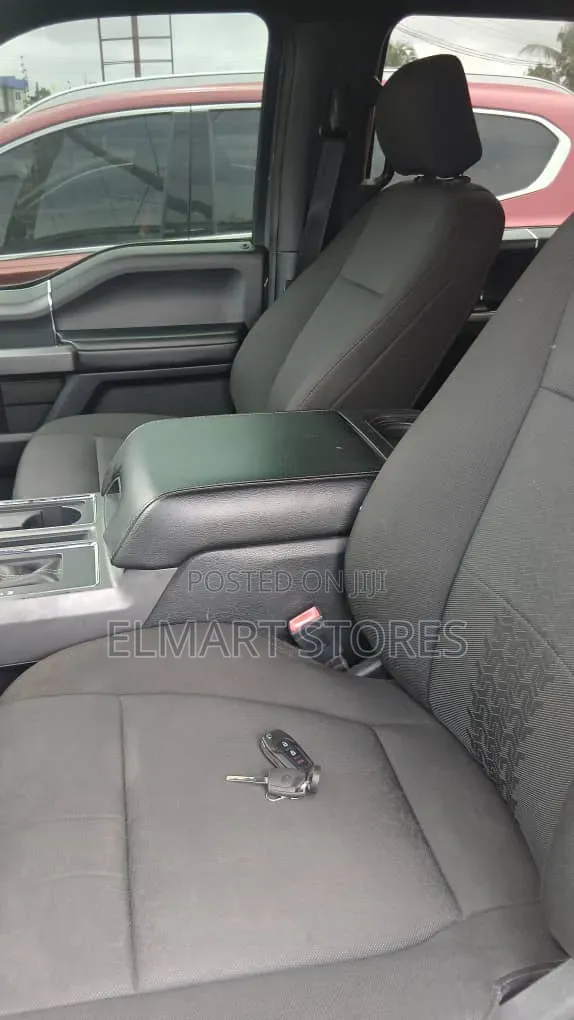 Ford F-150 2020 Gray
