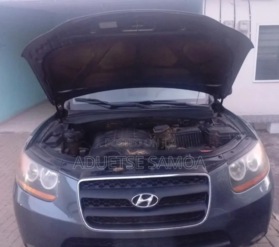Hyundai Santa Fe 3.3 SE 4WD 2008 Gray