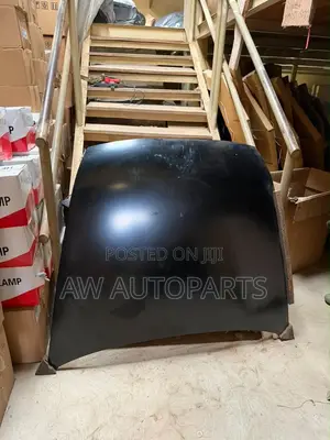 Honda Accord 2003-2007 Hood