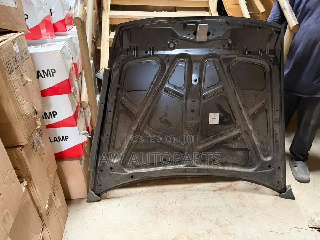 Honda Accord 2003-2007 Hood