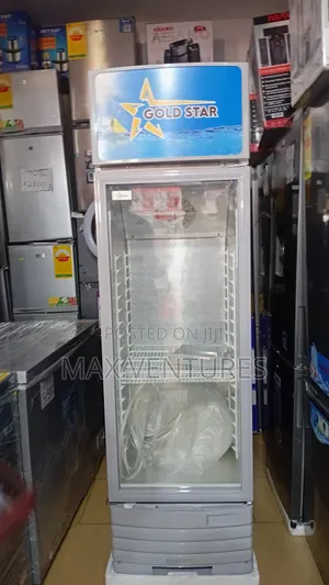 229L Display Fridge Gold Star – Perfect for Drinks Business 229L
