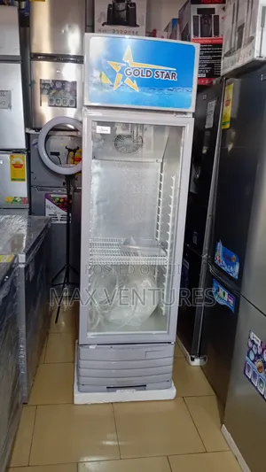 229L Display Fridge Gold Star – Perfect for Drinks Business 229L