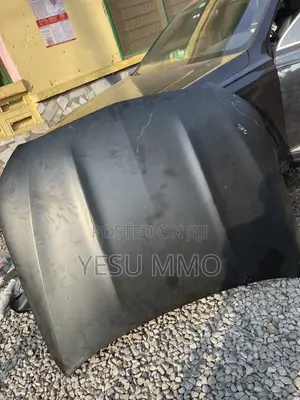 C300 (206) 2022 Bonnet