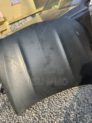 C300 (206) 2022 Bonnet