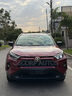 Toyota RAV4 LE AWD 2019 Red
