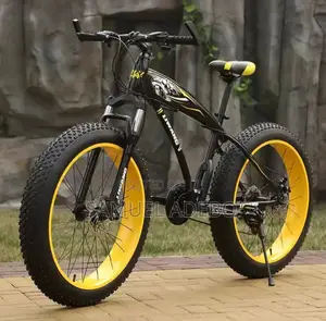 Fashion Bicycle