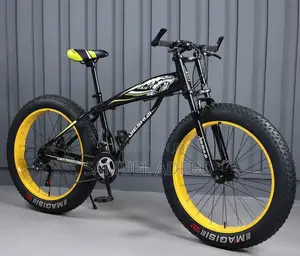 Fashion Bicycle