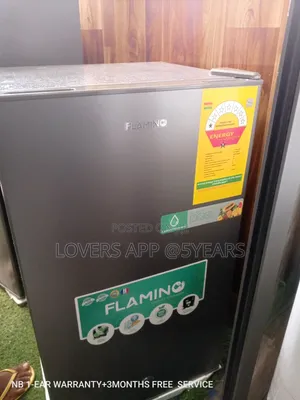 A Brand New Energy Saving Flamino Refridgrator