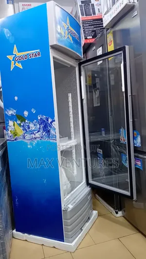 Commercial 229L Display Fridge – Gold Star Quality