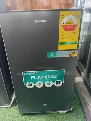 Flamino 91 Litres Energy Saving Refrigerator