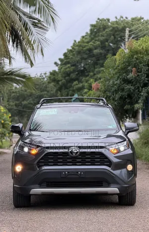 Toyota RAV4 2025 Gray