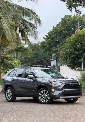 Toyota RAV4 2025 Gray