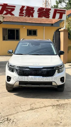 Kia Seltos EX IVT FWD 2025 White