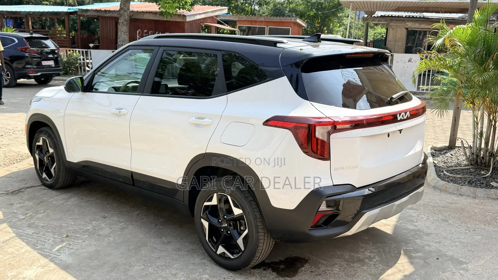 Kia Seltos EX IVT FWD 2025 White