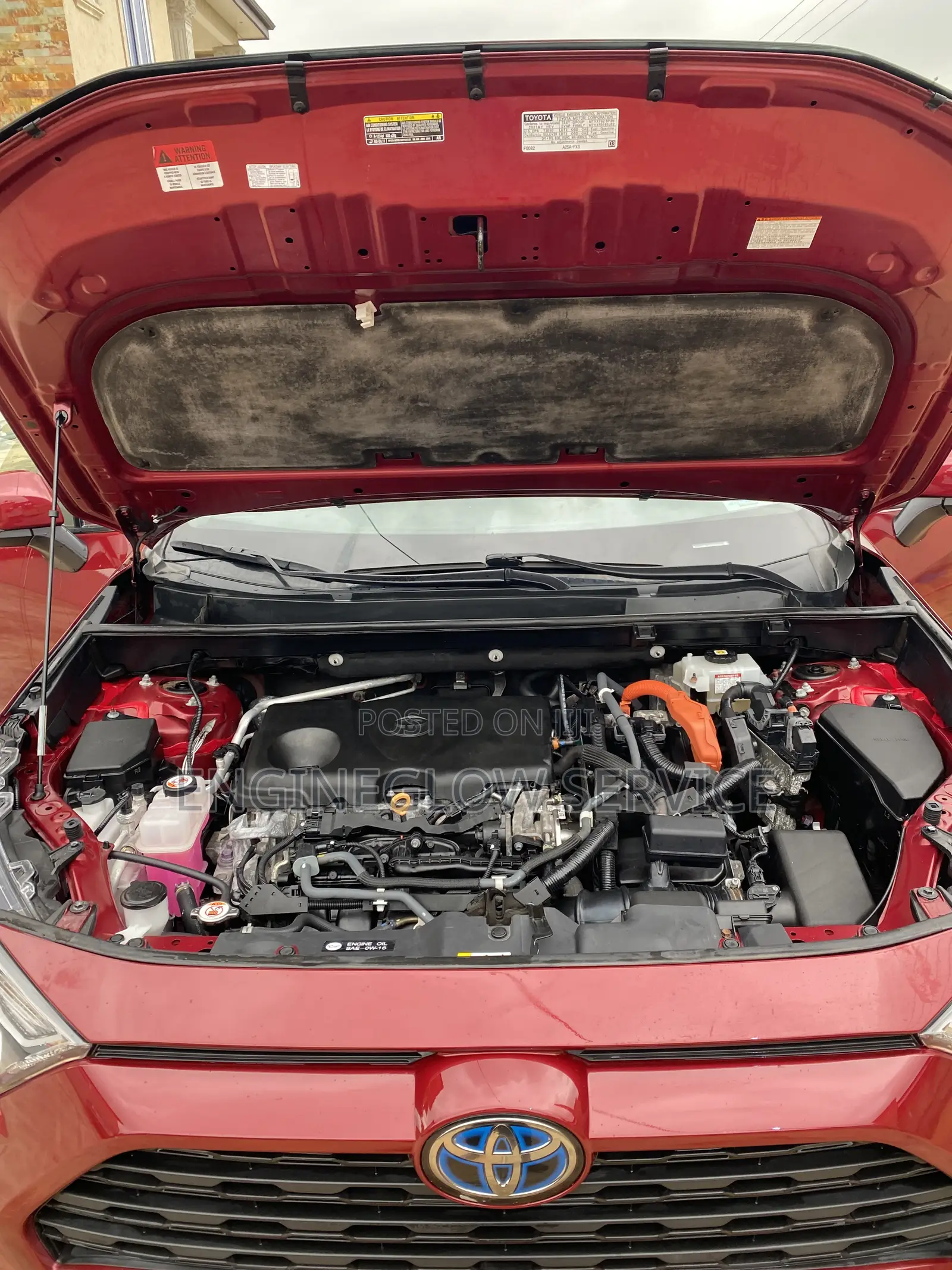 Professional Car Interior Cleaning and Engine Wash
