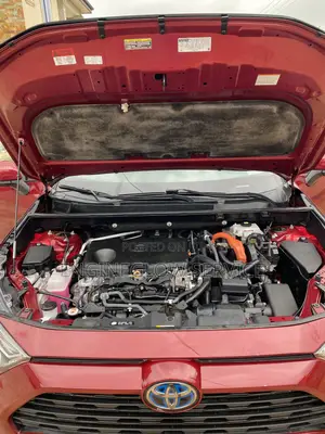 Professional Car Interior Cleaning and Engine Wash