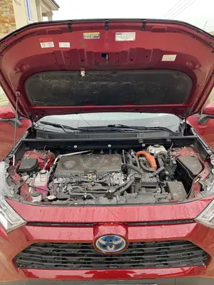 Professional Car Interior Cleaning and Engine Wash