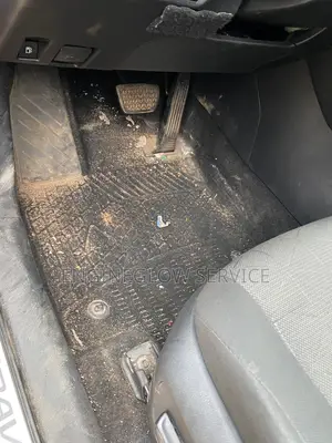 Professional Car Interior Cleaning and Engine Wash