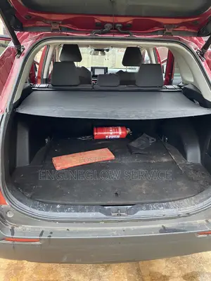 Professional Car Interior Cleaning and Engine Wash