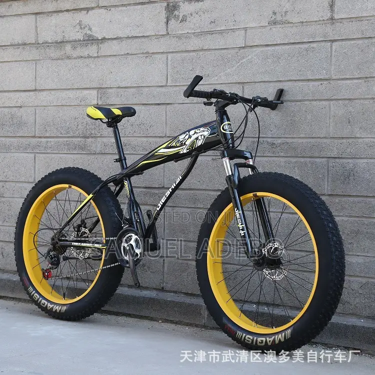 Fashion Bicycle