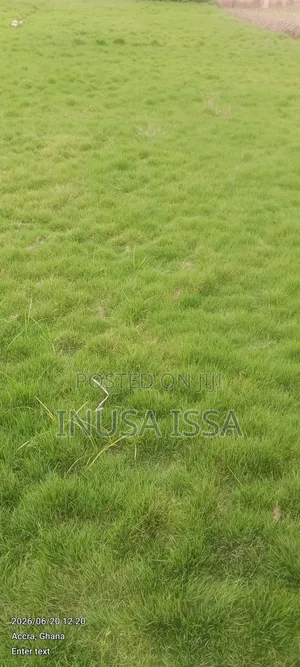 Hultocure, Gardiner Services and Equipment , Selling of Burmuda Grass