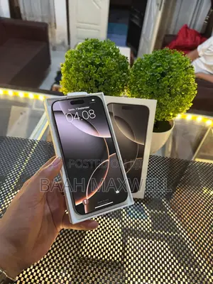 Apple iPhone 16 Pro Max 256 GB Silver
