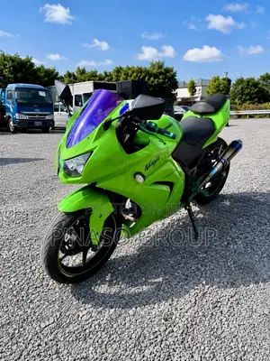 Kawasaki Ninja 300 2018 Green