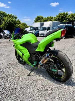 Kawasaki Ninja 300 2018 Green