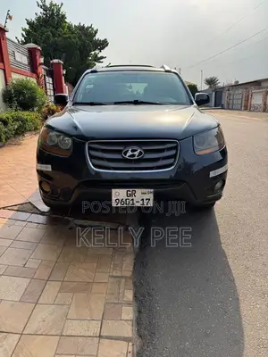 Hyundai Santa Fe 2009 Gray