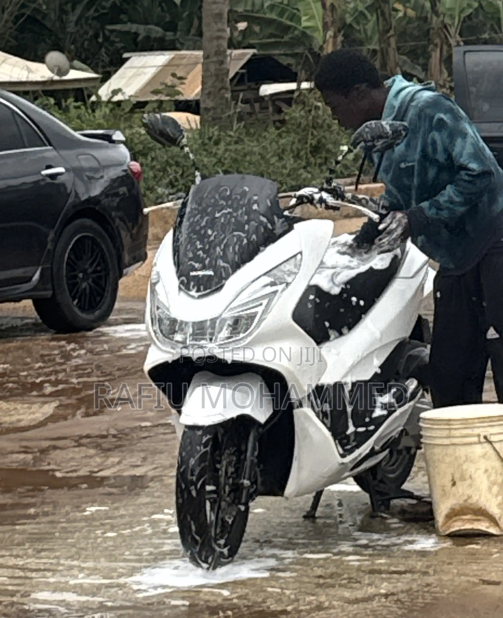 Honda 2023 White
