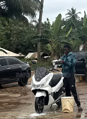 Honda 2023 White