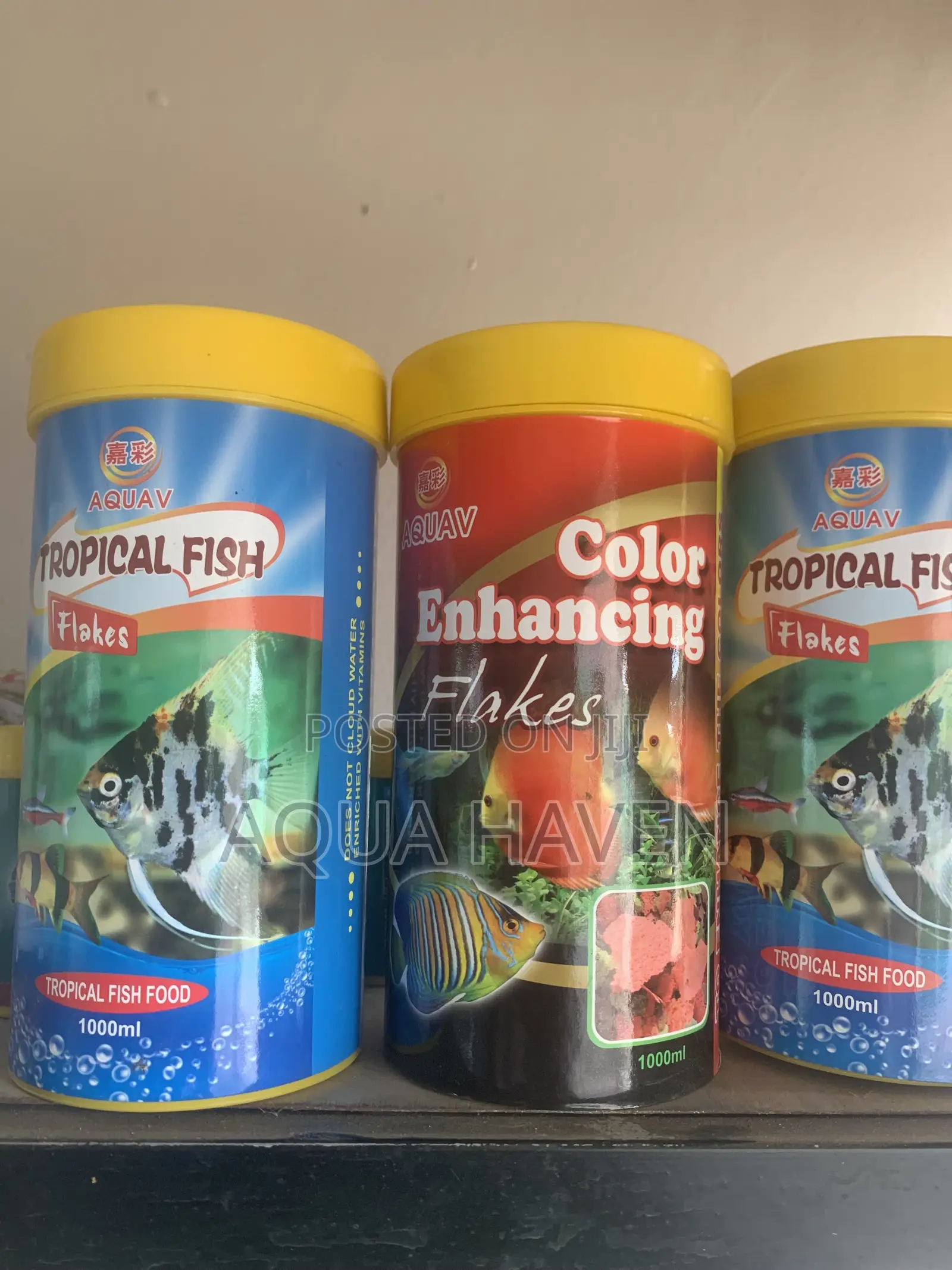 Aquarium Feed