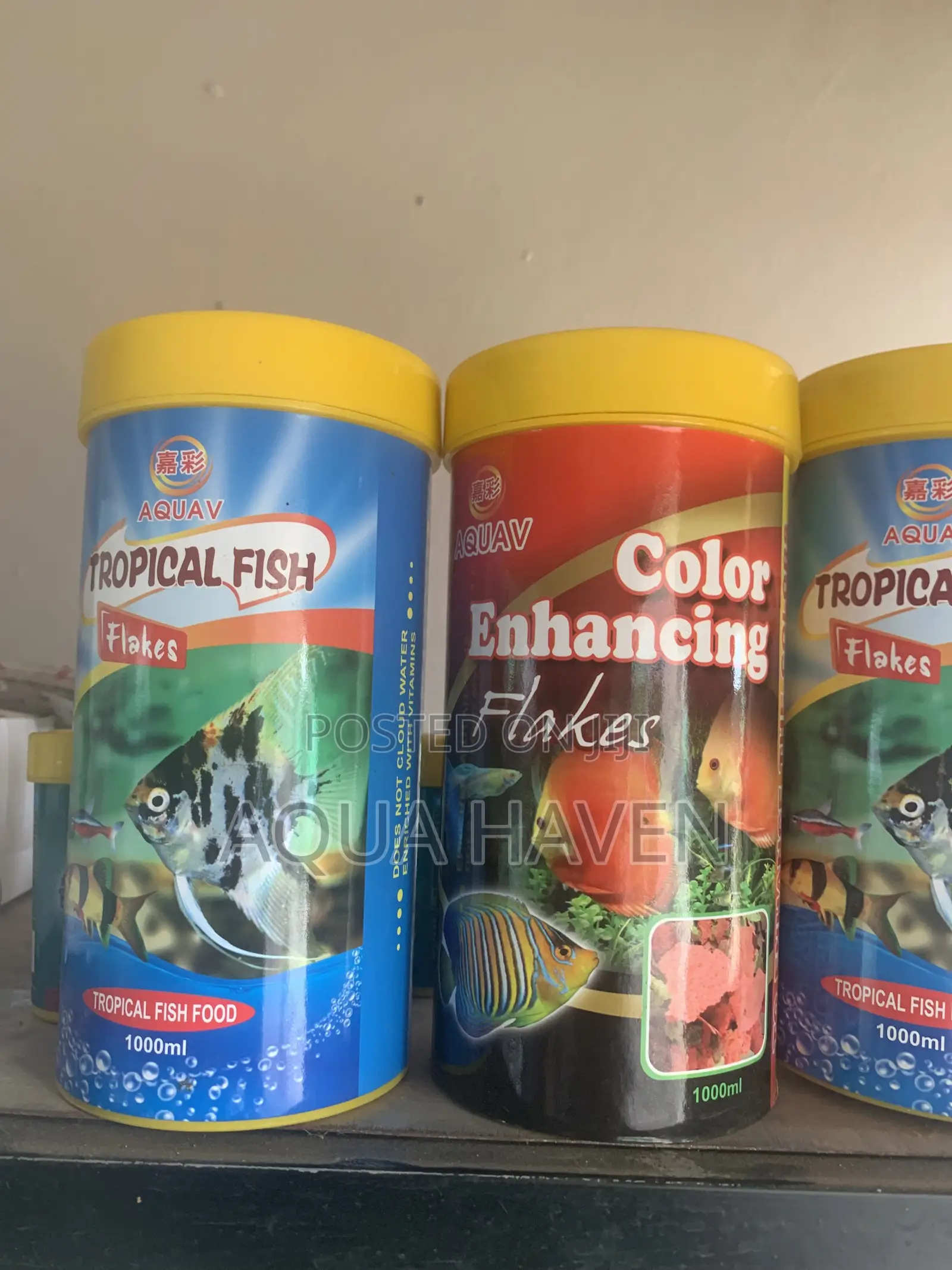 Aquarium Feed