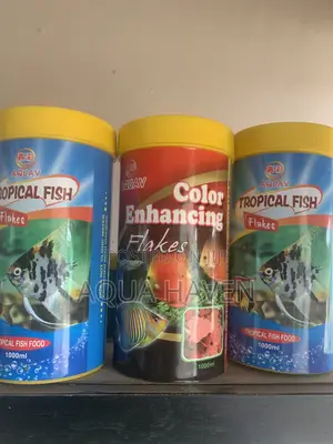 Aquarium Feed