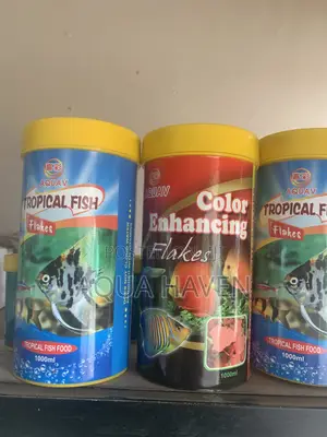 Aquarium Feed