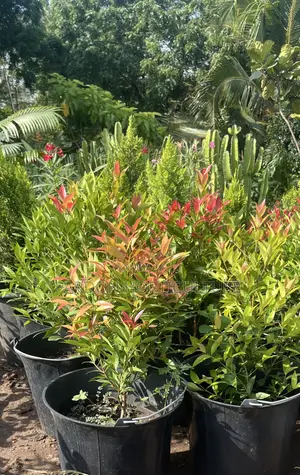 Pardon Horticulture
