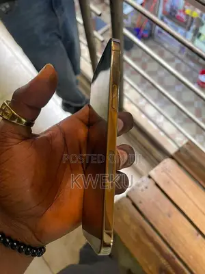 Apple iPhone 12 Pro Max 256 GB Gold