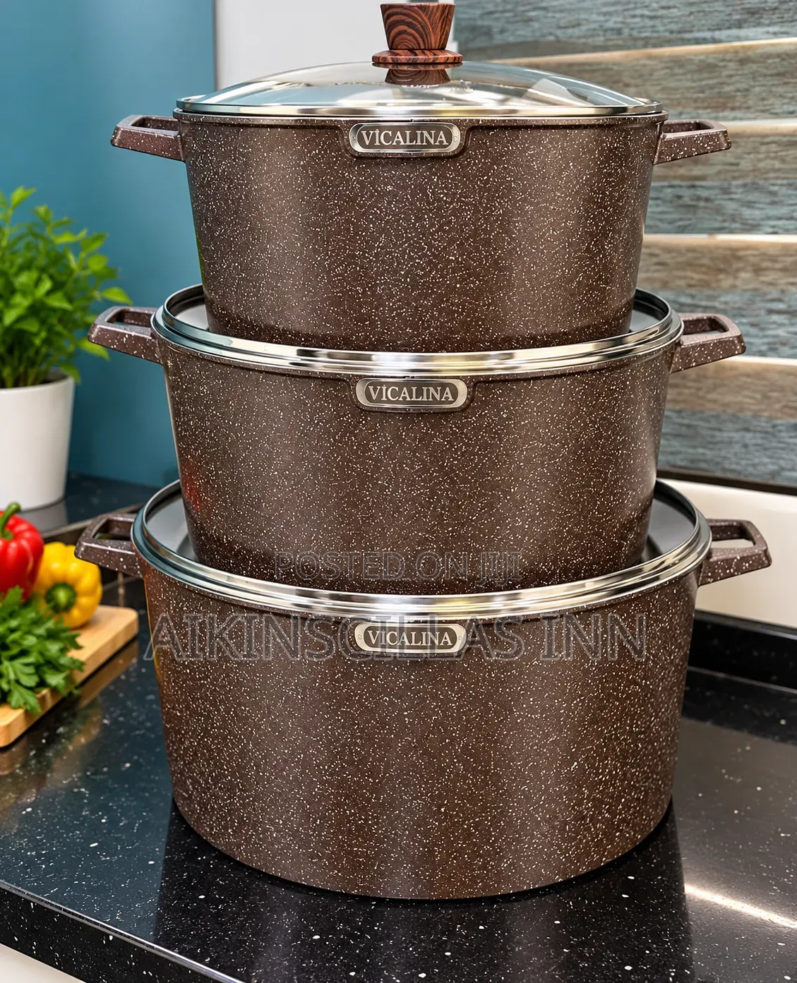 Vicalina Commercial Size Cookware